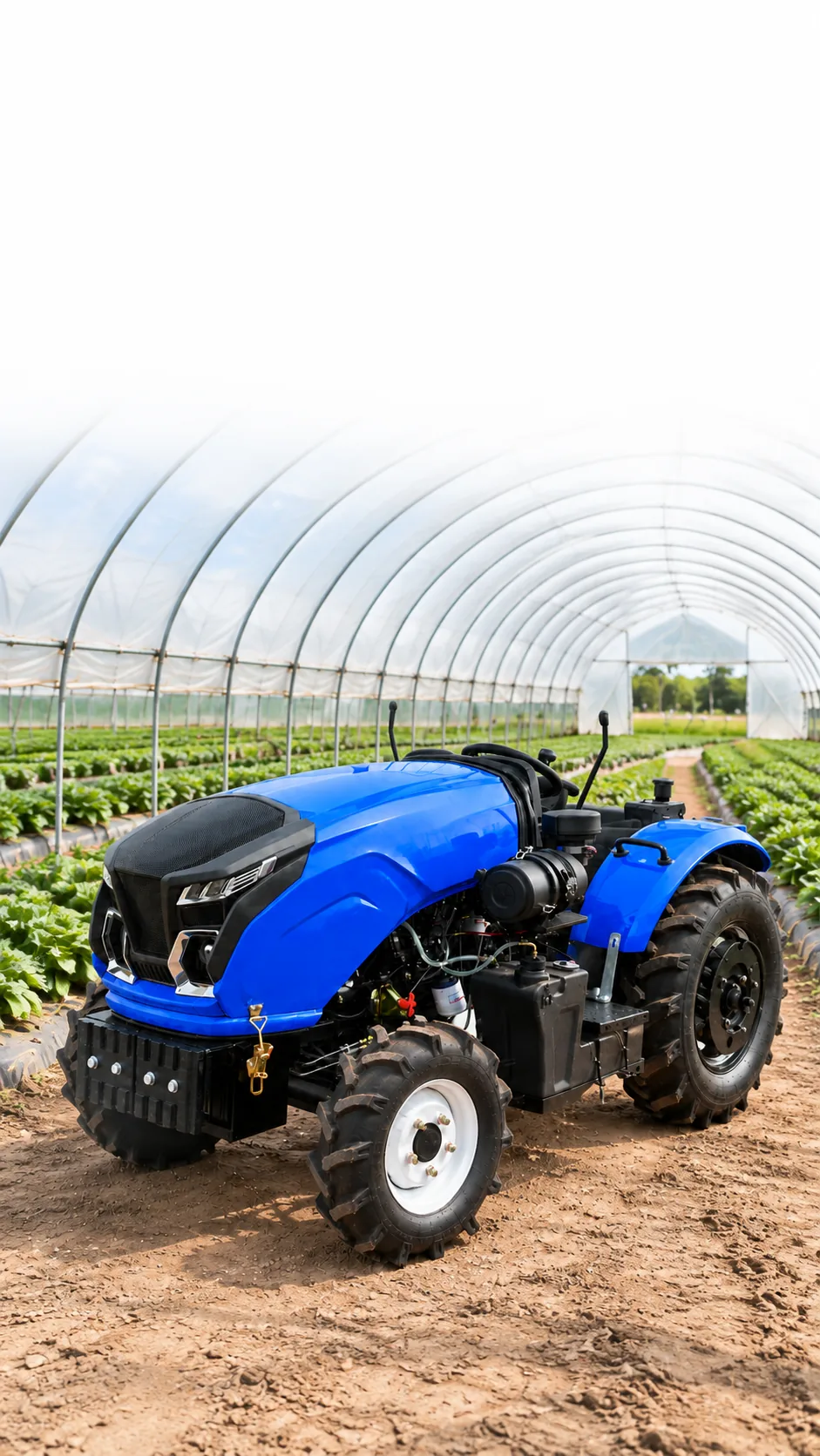 Tractor compacto azul de 50 hp para invernadero en un túnel de plástico con hileras de cultivos verdes